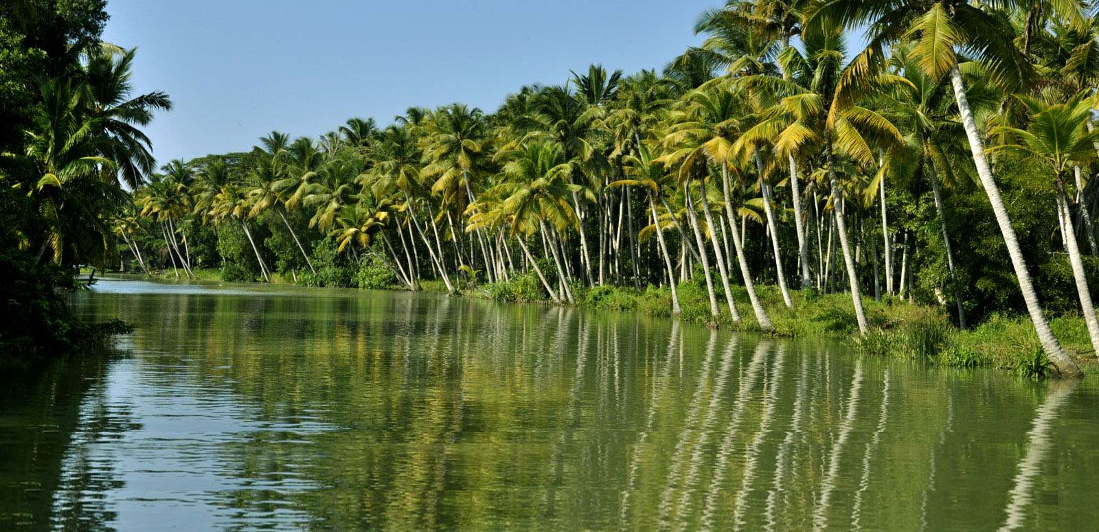Backwater & Beach Access